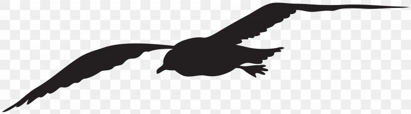 Gulls Silhouette Bird Clip Art, PNG, 8000x2236px, Gulls, Art, Bald Eagle, Beak, Bird Download Free