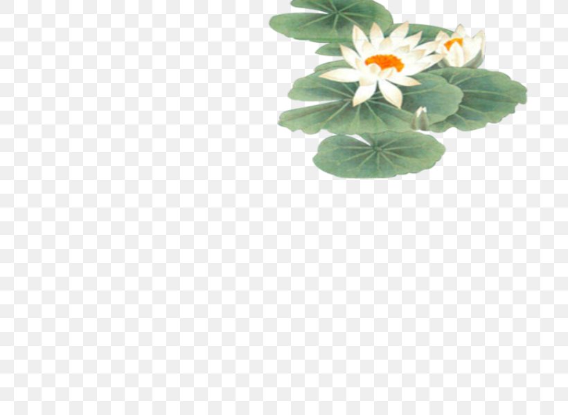 Lotus Pond Nelumbo Nucifera Icon, PNG, 800x600px, Lotus Pond, Flooring, Flower, Google Images, Grass Download Free