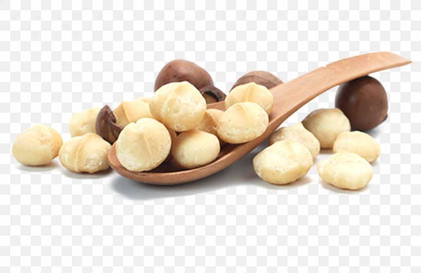 Macadamia Oil Macadamia Nut Tree Nut Allergy, PNG, 1538x1000px, Macadamia, Food, Hazelnut, Ingredient, Macadamia Nut Download Free