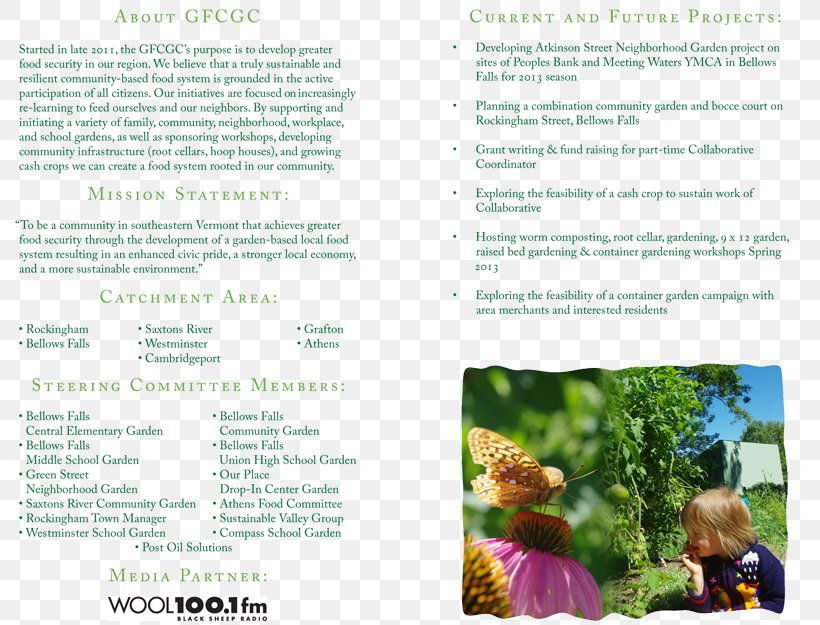 Tree Brochure, PNG, 800x625px, Tree, Advertising, Brochure, Flora, Grass Download Free