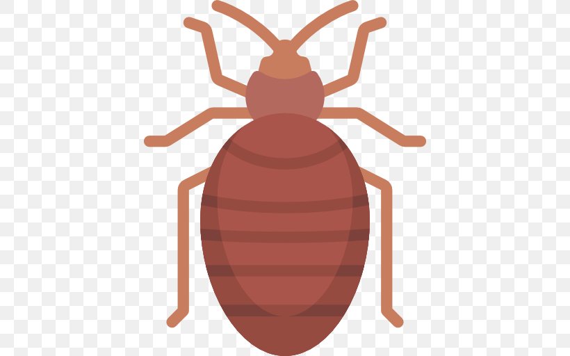 Bed Bug Bite Bed Bug Control Techniques Bedbug Pest Control, PNG, 512x512px, Bed Bug Bite, Ant, Arthropod, Bed, Bed Bug Download Free