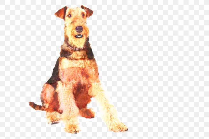 Cartoon People, PNG, 1168x780px, Airedale Terrier, Breed, Clothing, Companion Dog, Dog Download Free