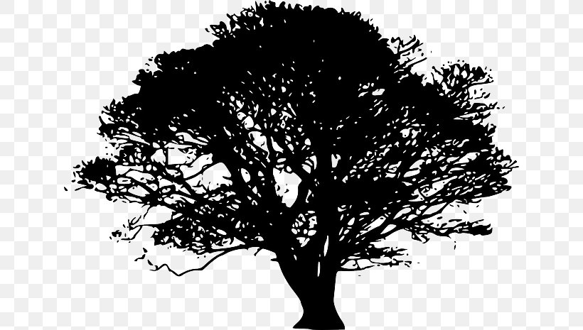 Clip Art Vector Graphics Tree Image, PNG, 640x465px, Tree, Black And White, Branch, Coast Redwood, Giant Sequoia Download Free