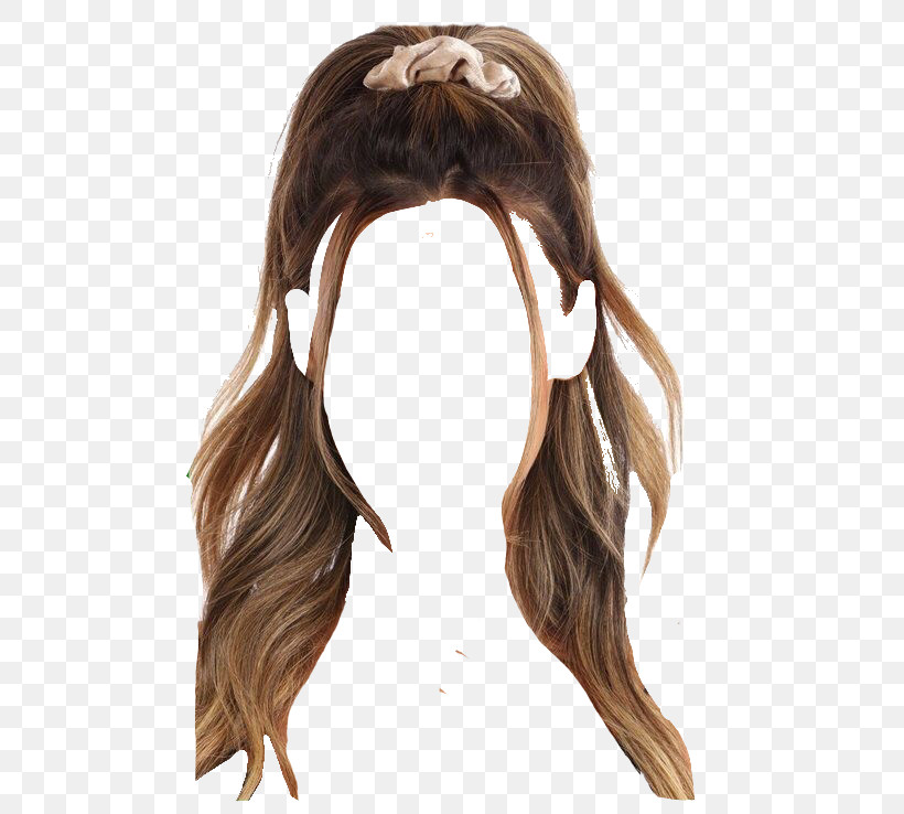 Hair Hairstyle Wig Layered Hair Brown, PNG, 500x738px, Hair, Artificial Hair Integrations, Bangs, Brown, Brown Hair Download Free