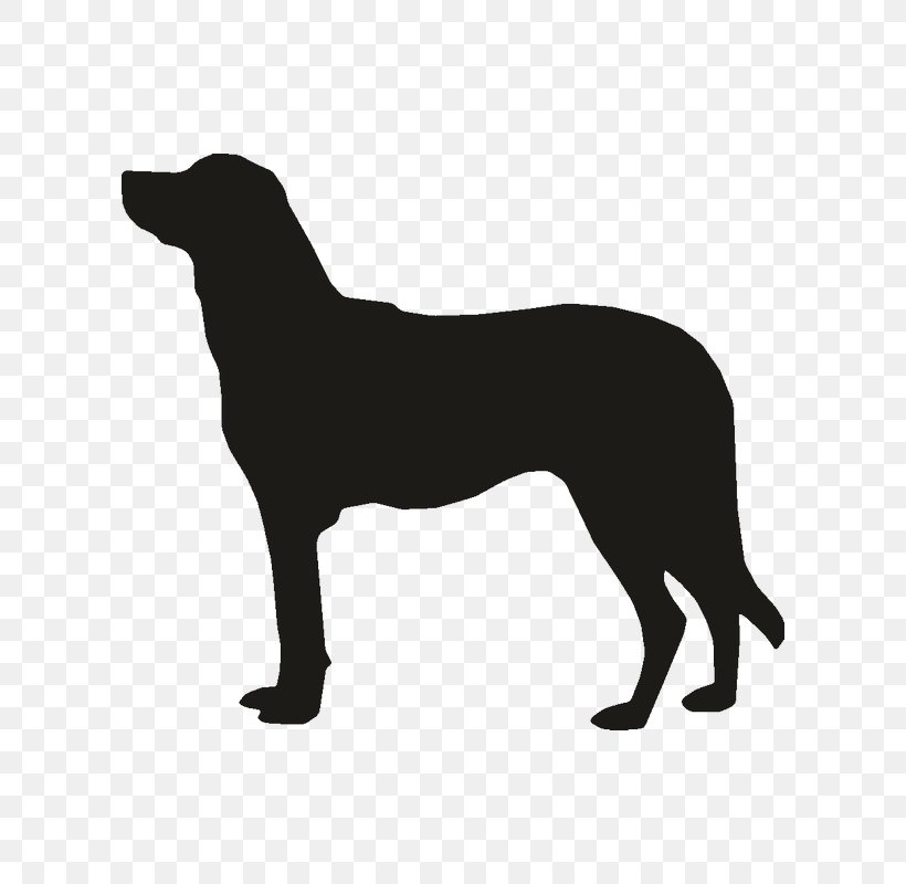 Labrador Retriever Anatolian Shepherd Dog Breed German Shepherd Bernese Mountain Dog, PNG, 800x800px, Labrador Retriever, Anatolian Shepherd, Australian Cattle Dog, Bernese Mountain Dog, Black Download Free