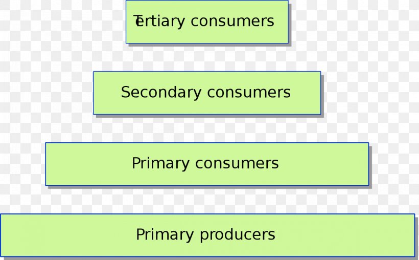 Trophic Level Ecological Pyramid Biomass Ecology Primary Producers, PNG, 1200x744px, Trophic Level, Algae, Area, Biomass, Brand Download Free