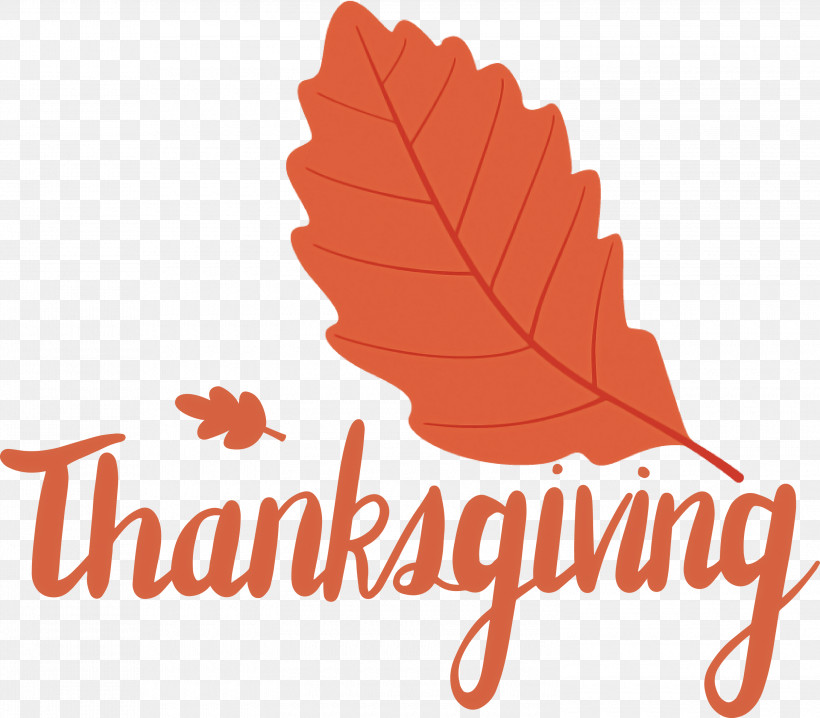 Thanksgiving, PNG, 3000x2629px, Thanksgiving, Biology, Flower, Fruit, Leaf Download Free