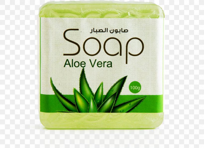 Aloe Vera Skin Care Lotion Product Cosmetics, PNG, 1653x1200px, Aloe Vera, Aloes, Body Spray, Cosmetics, Cream Download Free
