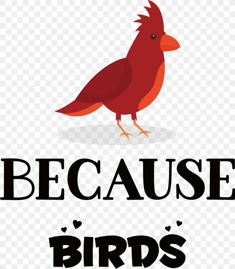 Because Birds Bird Animal, PNG, 2626x3000px, Bird, Animal, Beak, Landfowl, Livestock Download Free