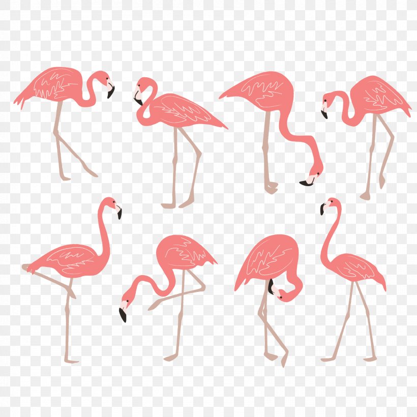 Flamingo Drawing Clip Art, PNG, 1667x1667px, Flamingo, Art, Beak, Bird, Drawing Download Free