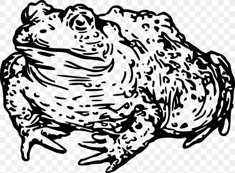 Frog Toad Amphibian Tadpole Clip Art, PNG, 4000x2953px, Watercolor, Cartoon, Flower, Frame, Heart Download Free