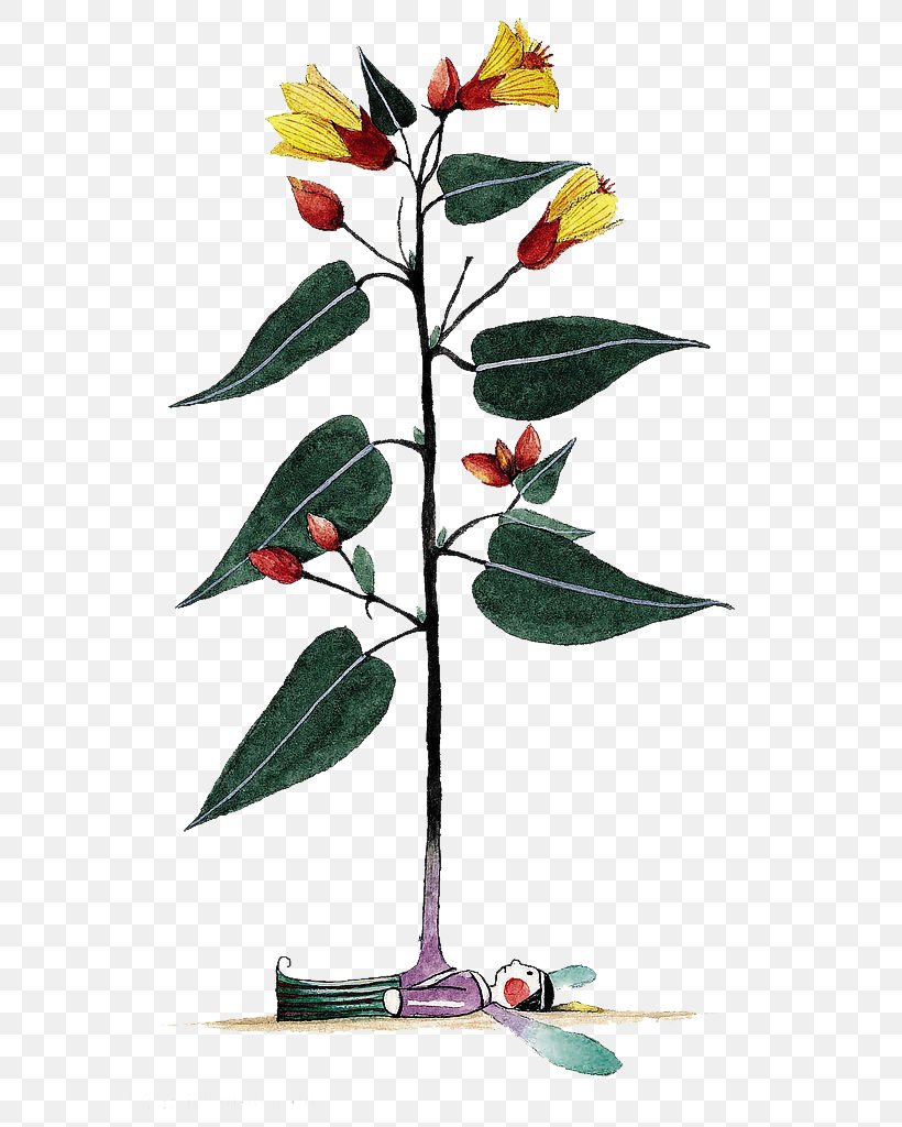Watercolor Painting Cartoon Plant, PNG, 612x1024px, Watercolor Painting, Branch, Cartoon, Color, Designer Download Free