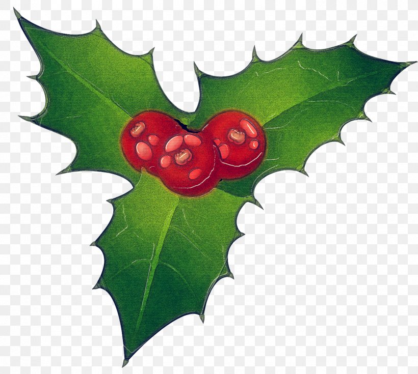 Holly, PNG, 1392x1248px, Holly, American Holly, Flower, Flowering Plant, Hollyleaf Cherry Download Free