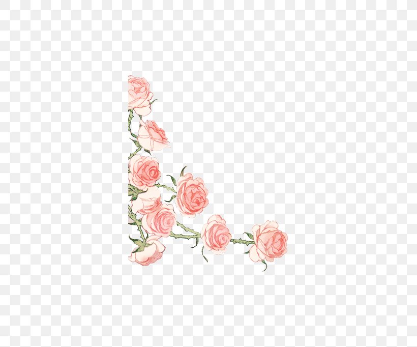 Rose Pink, PNG, 686x682px, Rose, Designer, Floral Design, Flower, Garden Roses Download Free