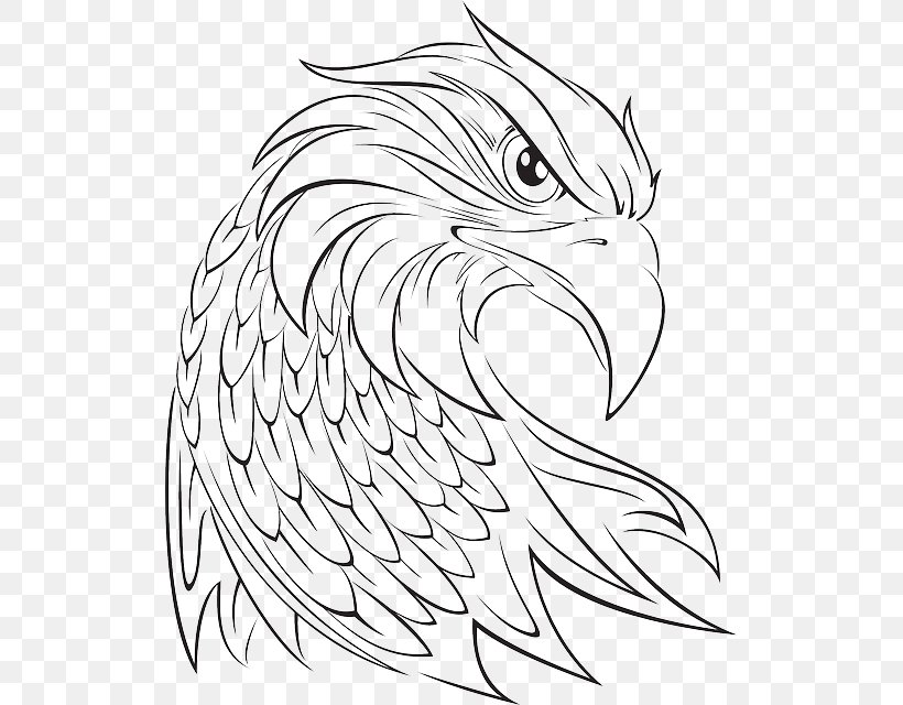 Drawing Clip Art, PNG, 519x640px, Drawing, Art, Artwork, Bald Eagle, Beak Download Free