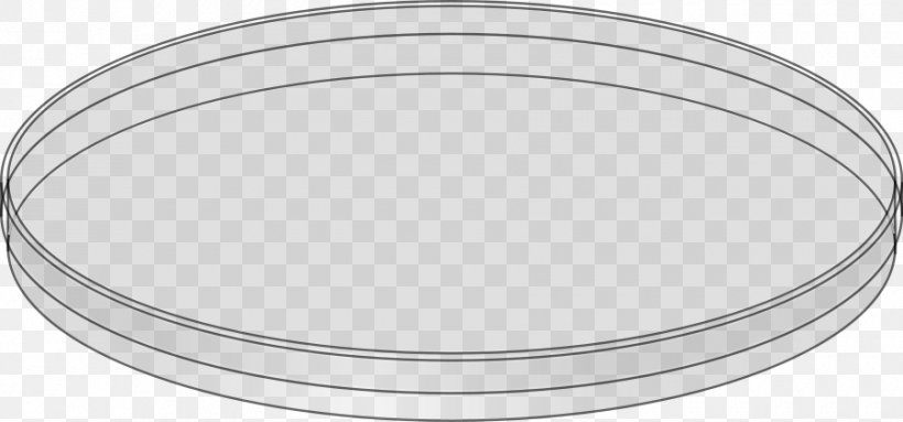 Petri Dishes Test Tubes Clip Art, PNG, 900x421px, Petri Dishes, Bacteria, Beaker, Drawing, Erlenmeyer Flask Download Free