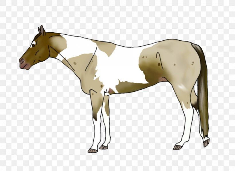 Mane Foal Mustang Stallion Colt, PNG, 900x656px, Mane, Animal Figure, Bridle, Colt, Foal Download Free