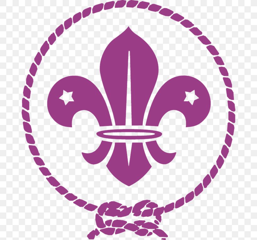 Scouting World Organization Of The Scout Movement Boy Scouts Of America Scout Troop The Scout Association, PNG, 682x768px, Scouting, Area, Boy Scouts Of America, Cub Scout, Explorer Scouts Download Free
