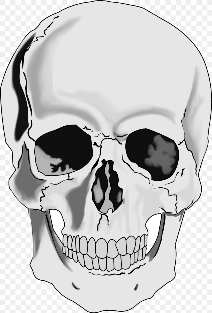 Skull Human Skeleton Human Head Clip Art, PNG, 1624x2399px, Skull, Black And White, Bone, Drawing, Eyewear Download Free