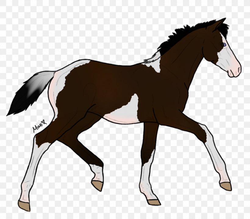 Foal Pony Mustang Stallion Drawing, PNG, 900x791px, Foal, Bridle, Colt, Drawing, English Riding Download Free