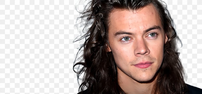 Mouth Cartoon, PNG, 1460x686px, Harry Styles, Beauty, Black Hair, Brown Hair, Celebrity Download Free
