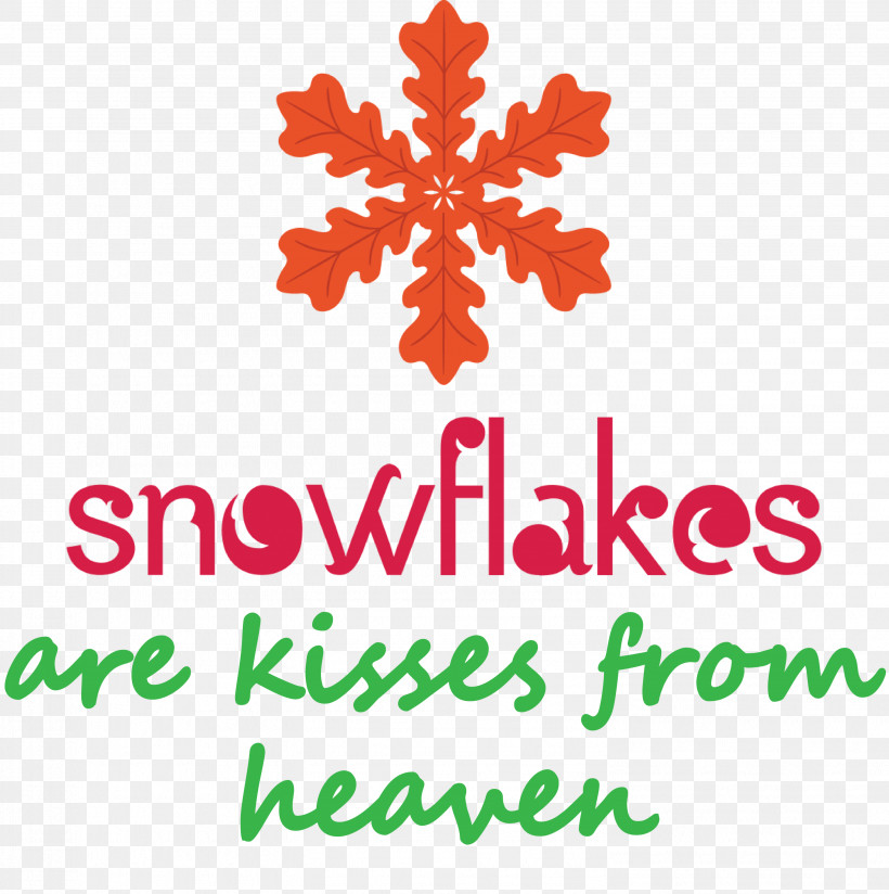 Snowflakes Snow, PNG, 2984x3000px, Snowflakes, Floral Design, Flower, Leaf, Line Download Free