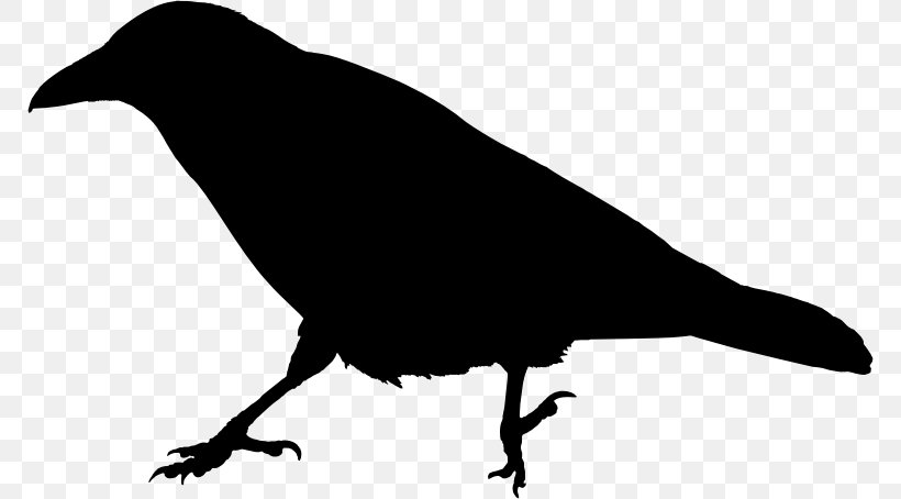 The Raven Common Raven Clip Art, PNG, 770x454px, Raven, American Crow, Beak, Bird, Black And White Download Free