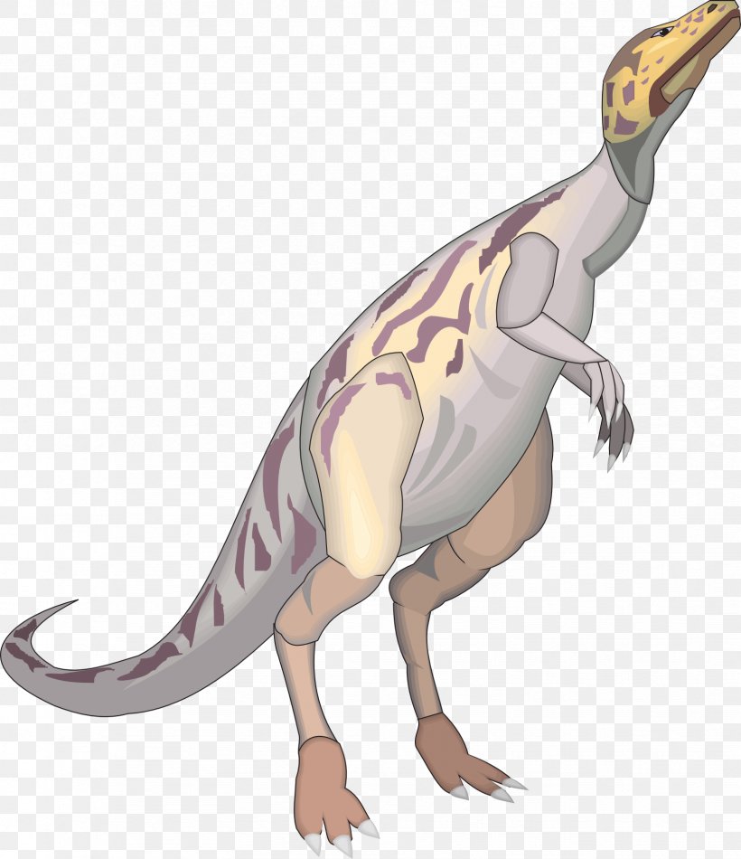 Tyrannosaurus Dinosaur Triceratops Acrocanthosaurus Achelousaurus, PNG, 1656x1920px, Tyrannosaurus, Achelousaurus, Acrocanthosaurus, Afrovenator, Beak Download Free