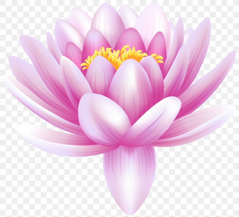 Water Lilies Lily Flower Clip Art, PNG, 8000x7276px, Nymphaea Alba, Aquatic Plant, Arum Lily, Blossom, Calla Lily Download Free