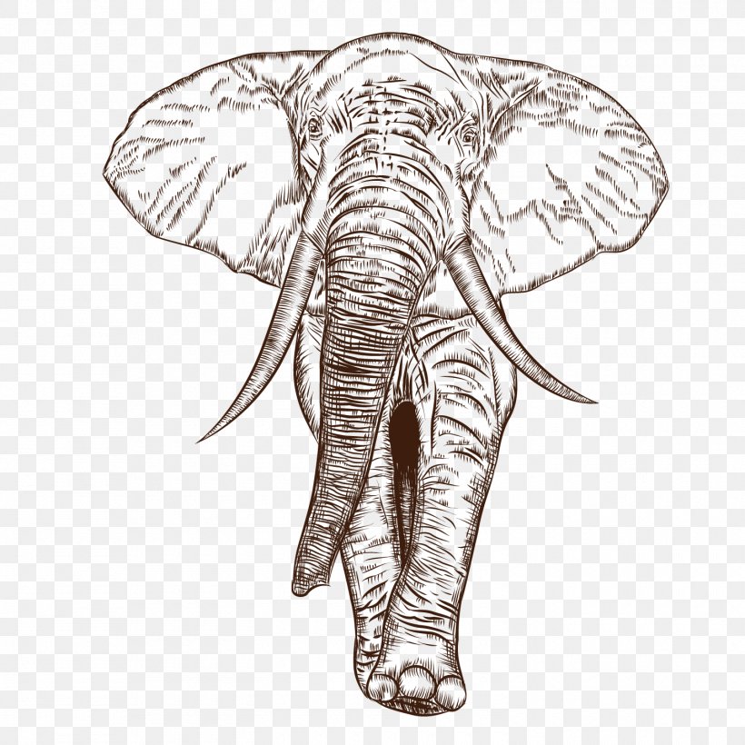 African Elephant Indian Elephant Drawing, PNG, 1500x1500px, African Elephant, Animal, Black And White, Drawing, Elephant Download Free