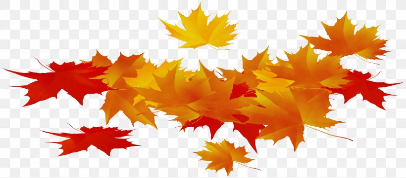 Autumn Sky, PNG, 2999x1322px, Maple Leaf, Autumn, Computer, Deciduous, Leaf Download Free