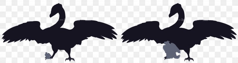 Beak Bird Crane Feather Silhouette, PNG, 2997x802px, Beak, Bird, Black, Black And White, Crane Download Free