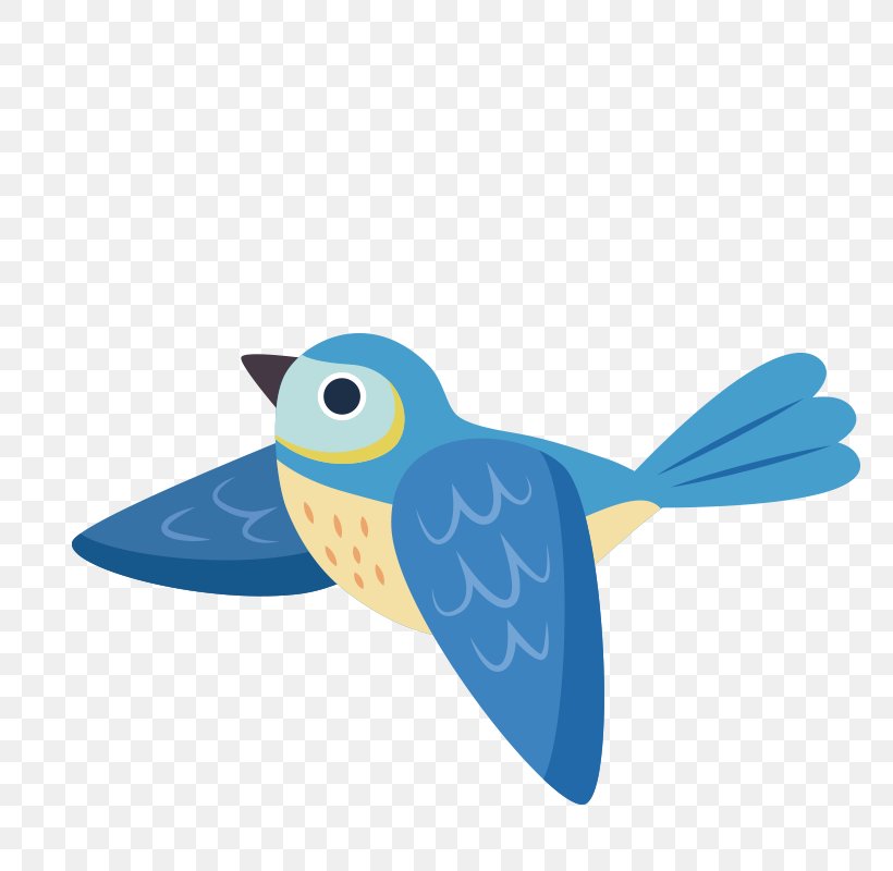 Bird Owl Euclidean Vector Icon, PNG, 800x800px, Bird, Beak, Bluebird, Color, Feather Download Free
