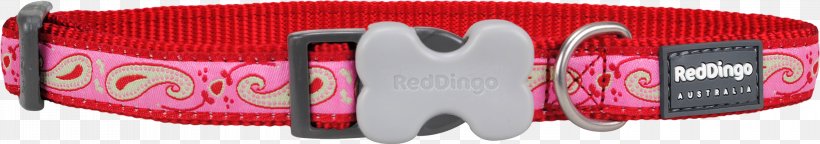 Dog Collar Dingo Purple, PNG, 3000x528px, Collar, Brand, Clothing Accessories, Dingo, Dog Download Free