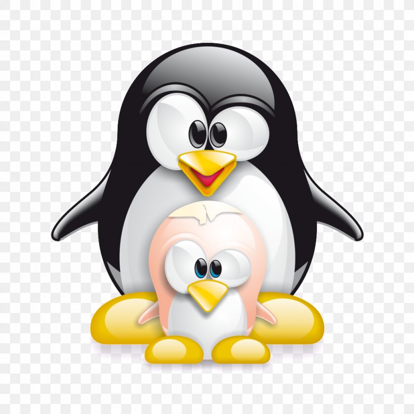 Linux Kernel Computer Software Installation, PNG, 1024x1024px, Linux, Beak, Bird, Computer, Computer Servers Download Free