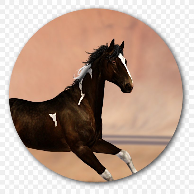 Mustang Rein Mane Stallion Mare, PNG, 826x826px, Mustang, Bridle, Florida Kraze Krush Soccer Club, Halter, Harness Racing Download Free