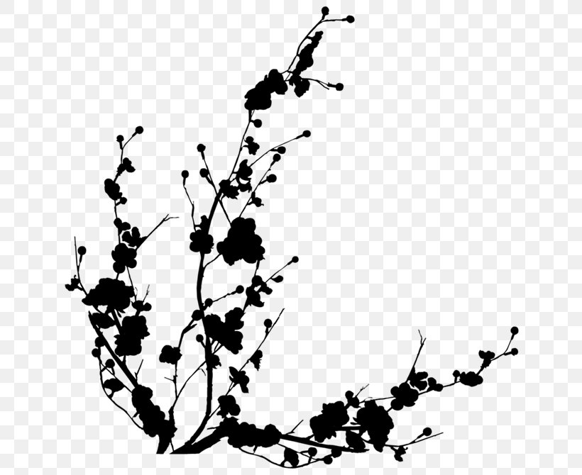 Twig Plant Stem Line Flower Point, PNG, 670x670px, Twig, Black, Blackandwhite, Branch, Flower Download Free