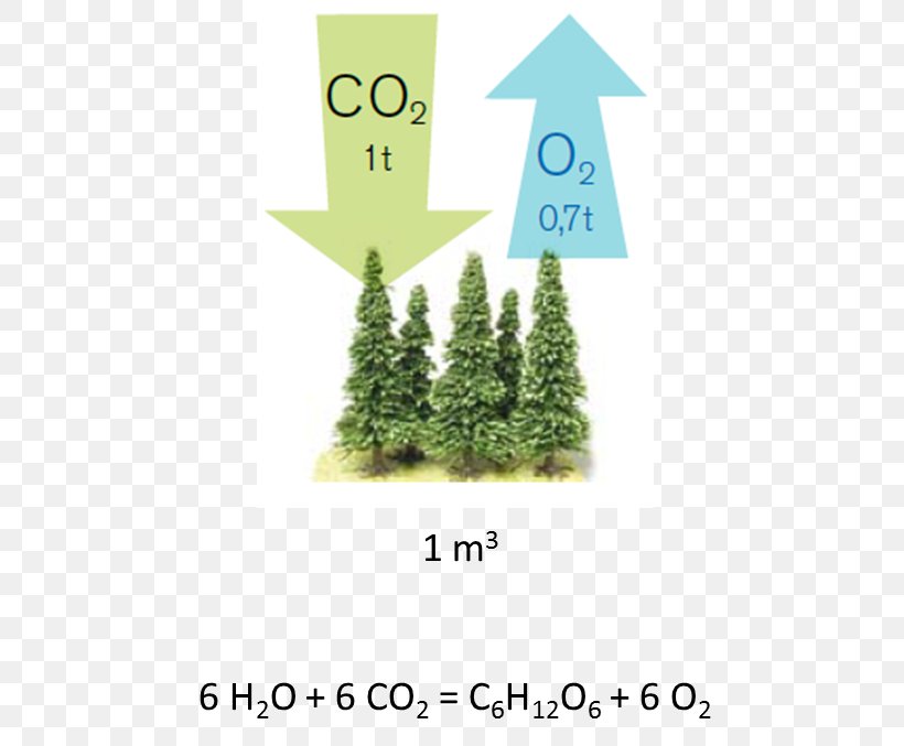Carbon Dioxide Photosynthesis Tree Carbon Sink, PNG, 508x677px, Carbon Dioxide, Atmosphere Of Earth, Carbon, Carbon Cycle, Carbon Footprint Download Free