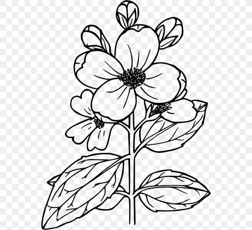 Drawing Illustration Clip Art Image, PNG, 552x750px, Drawing, Art, Blackandwhite, Botany, Coloring Book Download Free