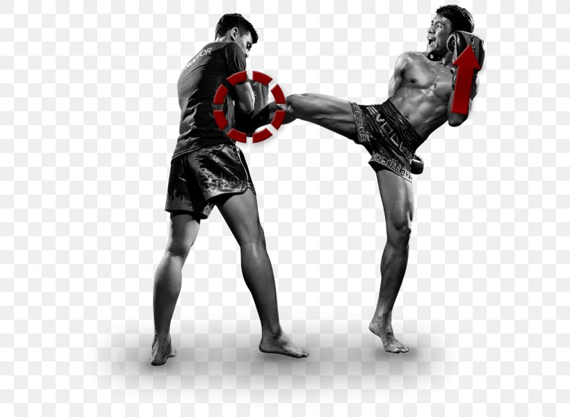 Muay Thai Kickboxing Contact Sport Martial Arts, PNG, 600x600px, Muay Thai, Aggression, Boxing, Boxing Equipment, Boxing Glove Download Free