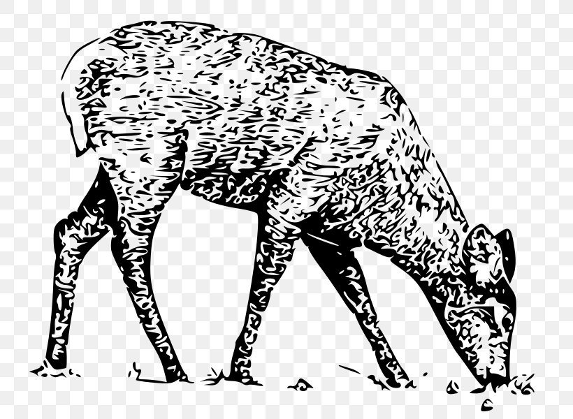 White-tailed Deer Elk Moose Clip Art, PNG, 800x600px, Whitetailed Deer, Animal, Animal Figure, Art, Big Cats Download Free