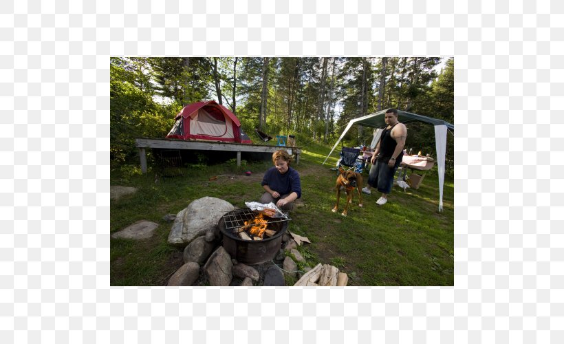Camping Backyard Pond Tree Plant Community, PNG, 500x500px, Camping, Adventure, Adventure Film, Backyard, Community Download Free