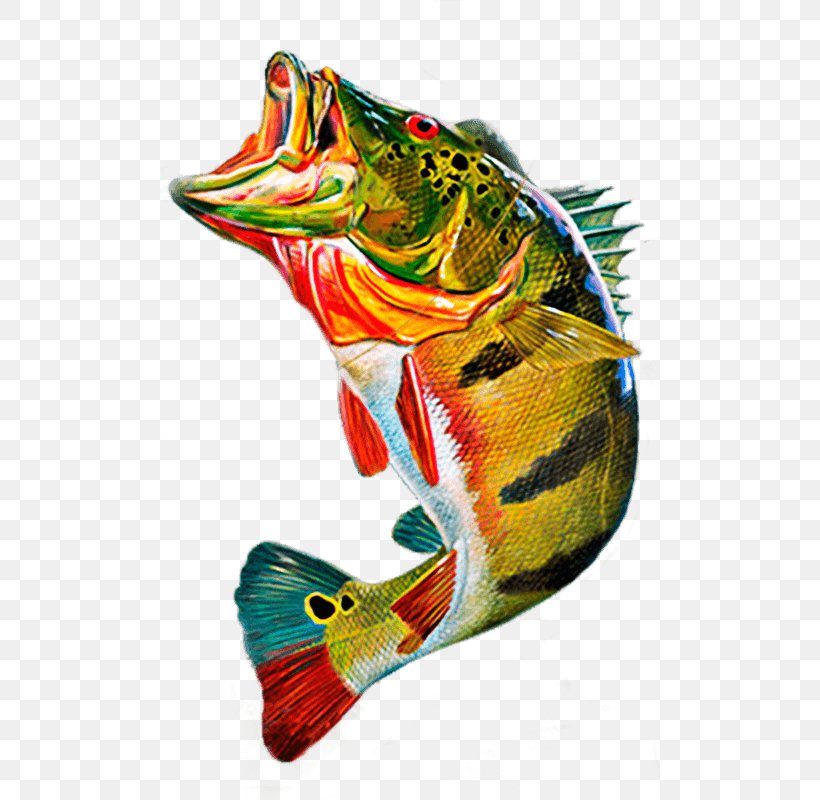 Cichla Ocellaris Peacock Bass Fly Fishing Clip Art, PNG, 500x800px, Cichla Ocellaris, Bass Fishing, Beak, Cichla, Decal Download Free