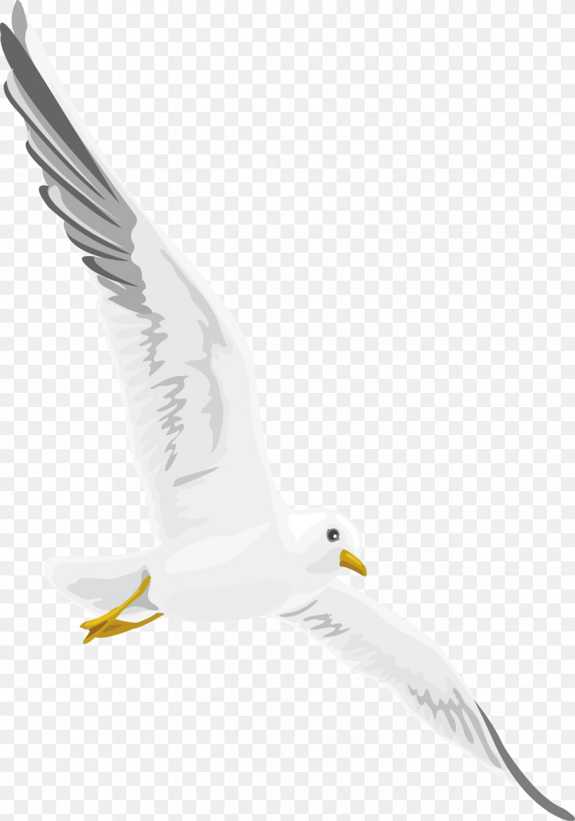 Euclidean Vector, PNG, 1298x1853px, Designer, Art, Beak, Bird, Bird Of Prey Download Free