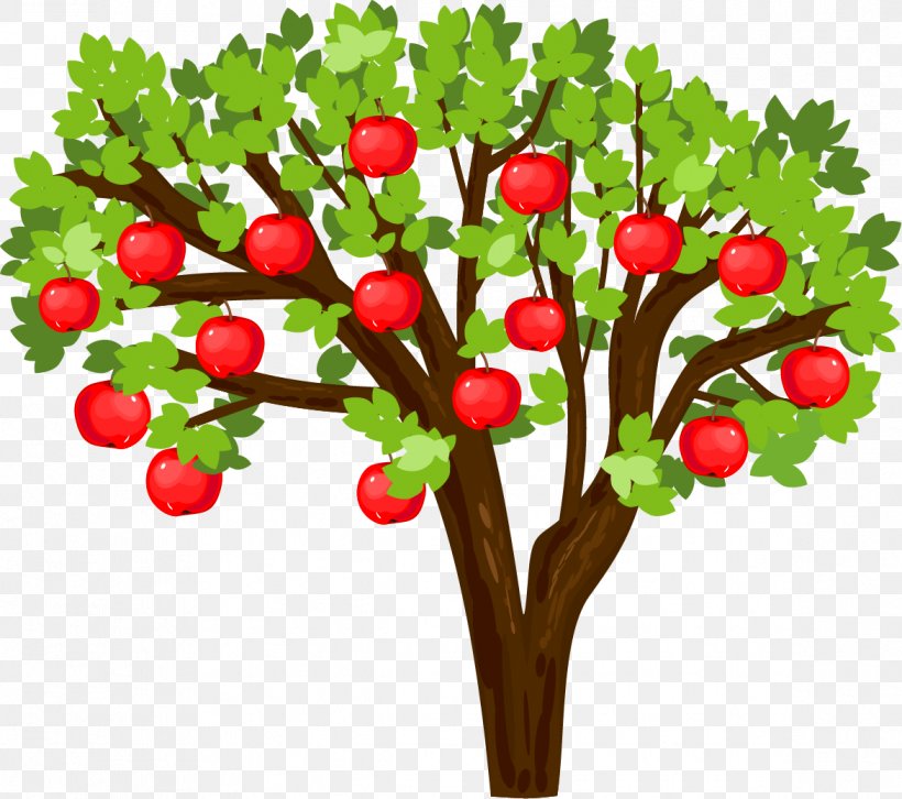 Apple Biological Life Cycle Tree Seed, PNG, 1171x1037px, Apple, Berry, Biological Life Cycle, Branch, Cut Flowers Download Free