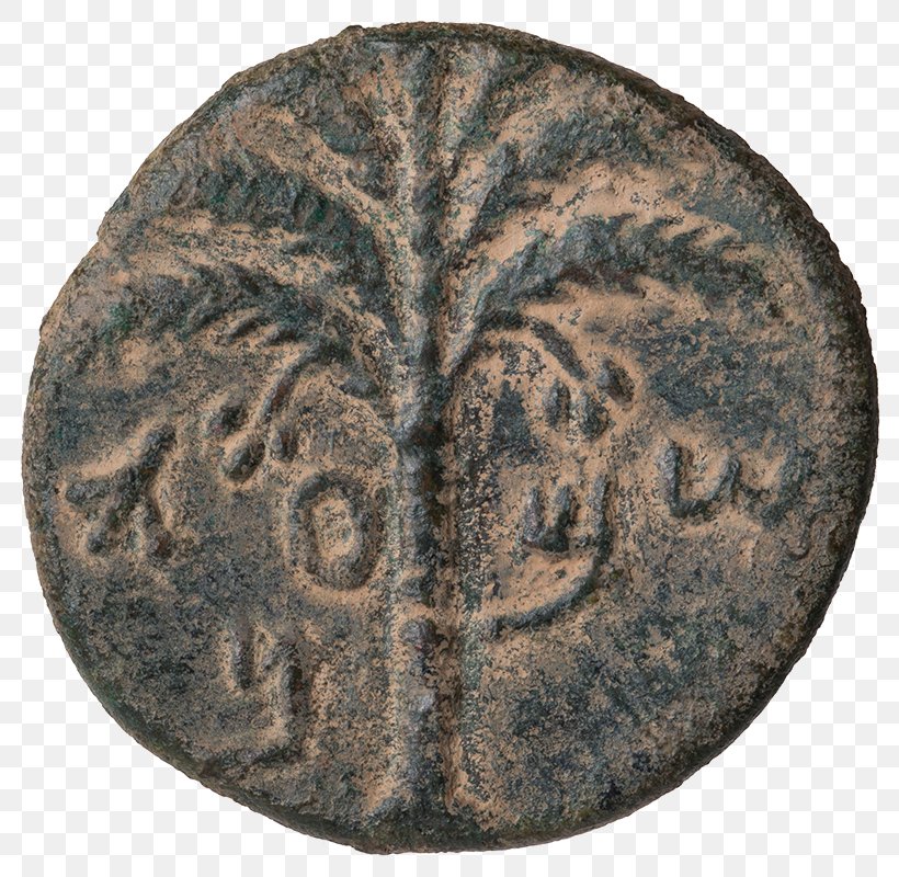 Coin Aelia Capitolina Bar Kokhba Revolt Rottenburg Am Neckar First Jewish–Roman War, PNG, 800x800px, Coin, Advers, Aelia Capitolina, Ancient History, Artifact Download Free