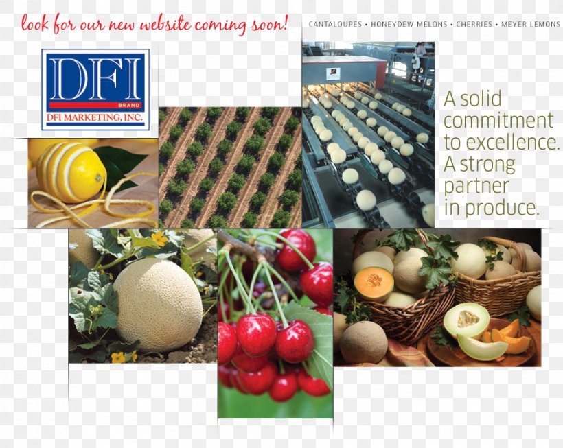 DFI Marketing Inc Marketing Information System Advertising, PNG, 917x731px, Marketing, Advertising, Brand, Farm, Food Download Free