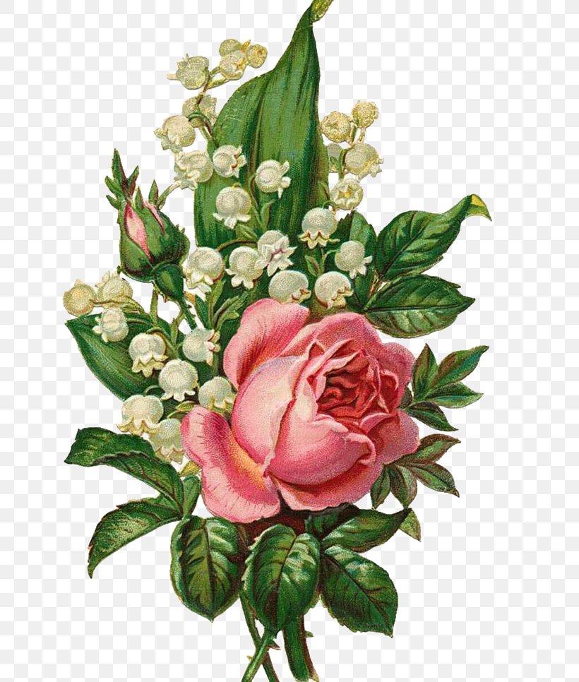 Garden Roses Centifolia Roses Floral Design Flower Bouquet Cut Flowers, PNG, 654x966px, Centifolia Roses, Art, Artificial Flower, Birth Flower, Botanical Illustration Download Free