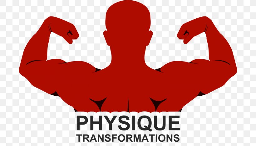 Logo Font Muscle Physique Transformations RED.M, PNG, 700x470px, Watercolor, Cartoon, Flower, Frame, Heart Download Free