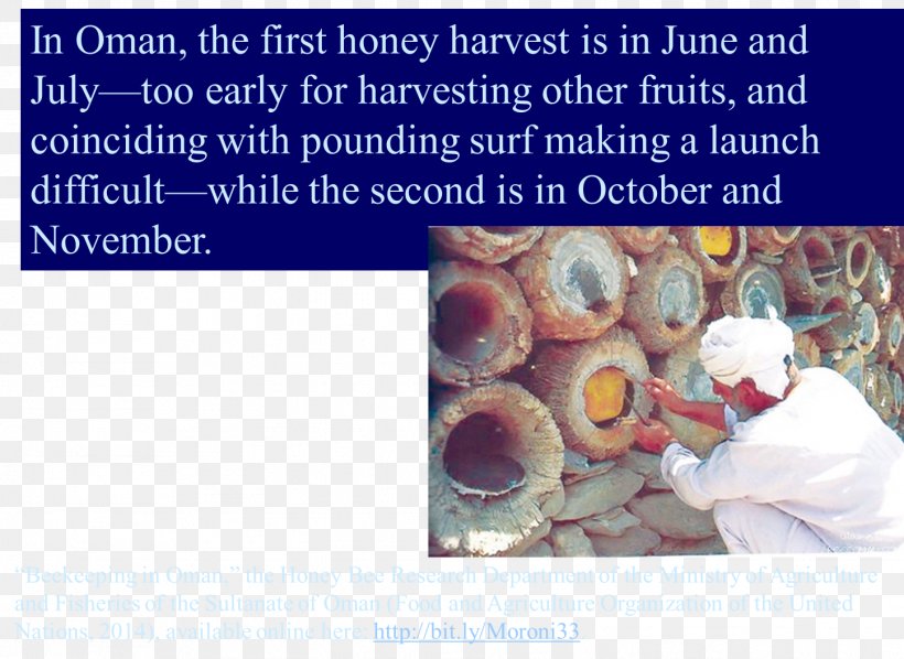 Beekeeping Organism, PNG, 1446x1055px, Bee, Beekeeping, Organism, Text Download Free
